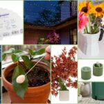 soluzioni originali per giardino