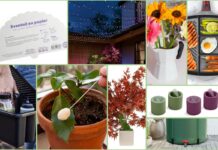 soluzioni originali per giardino