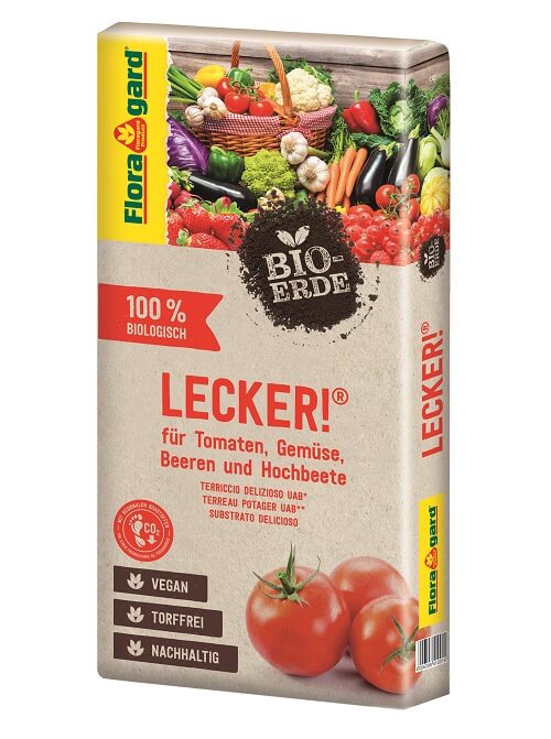 terricci vegani