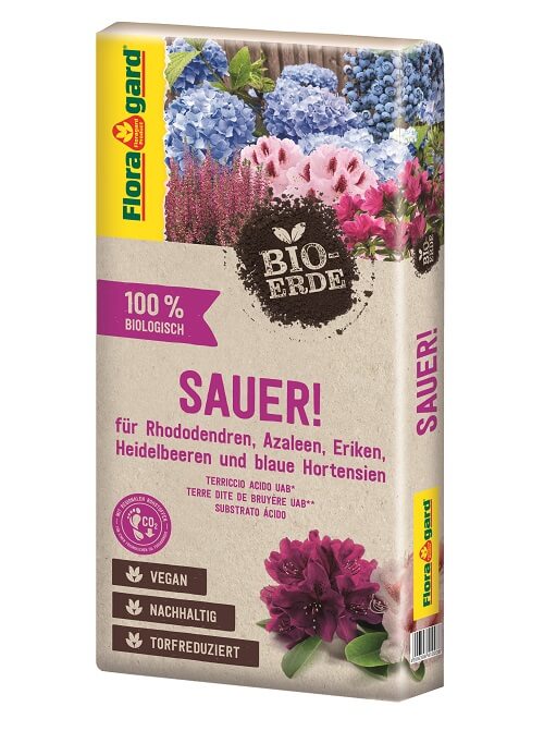 terricci vegani