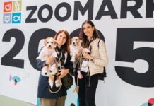 zoomark 2027