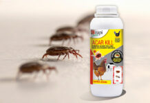 Acar Kill