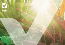 È arrivato il Catalogo 2026 di Vebi Garden Catalogo 2026 di Vebi