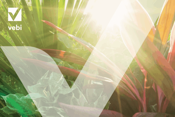 Catalogo 2026 di Vebi