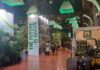 Greenitaly di Parma
