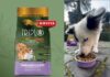 Puppy & Junior con Carni Bianche e Riso
