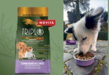 Puppy & Junior con Carni Bianche e Riso