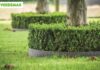 bordure per giardino