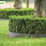 bordure per giardino