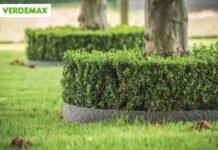 bordure per giardino