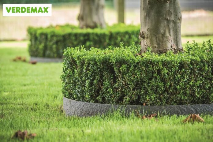 bordure per giardino