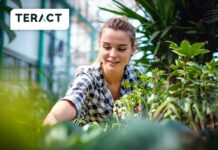 garden center in Francia