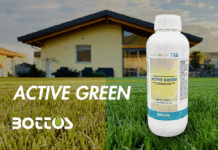 Active Green