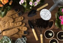 Attrezzi manuali e irrigazione