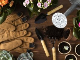 Attrezzi manuali e irrigazione