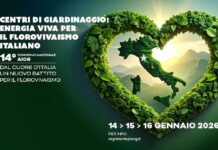 Convegno Aicg 2026