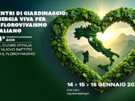 Scopri il programma del Convegno Aicg 2026 Convegno Aicg 2026