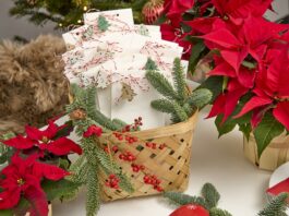 Stelle di Natale: consigli per aumentare vendite e visibilità Stelle di Natale