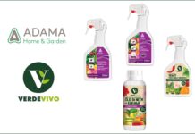 Le novità Kollant 2026: incontro con Aldo D’Amario aldo d'amario