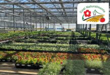 Doppio anniversario per Floricoltura Pironi floricoltura pironi