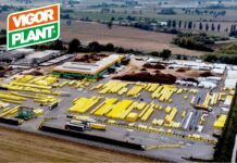 Marco e Luca Petranca raccontano i 50 anni di Vigorplant luca petranca