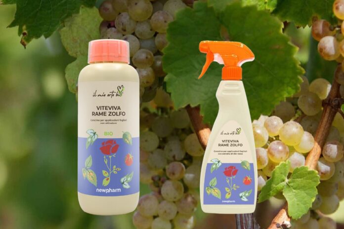 Viteviva Rame Zolfo