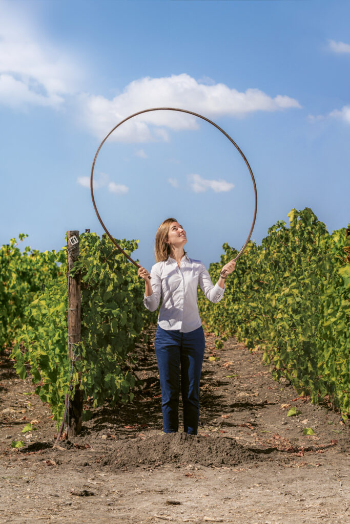 Irritec Stories 2026