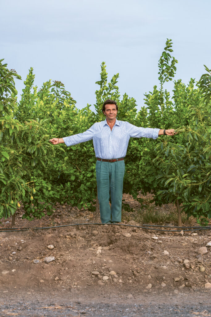 Irritec Stories 2026