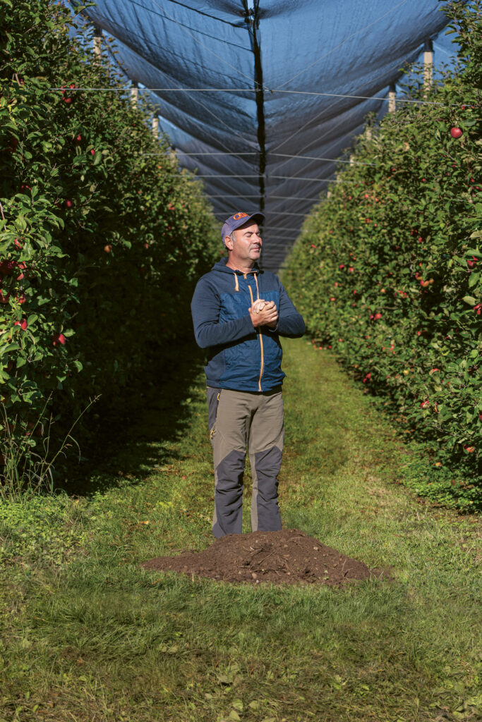 Irritec Stories 2026