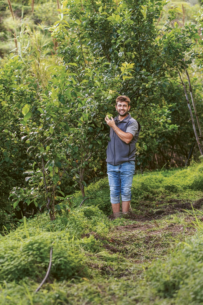 Irritec Stories 2026