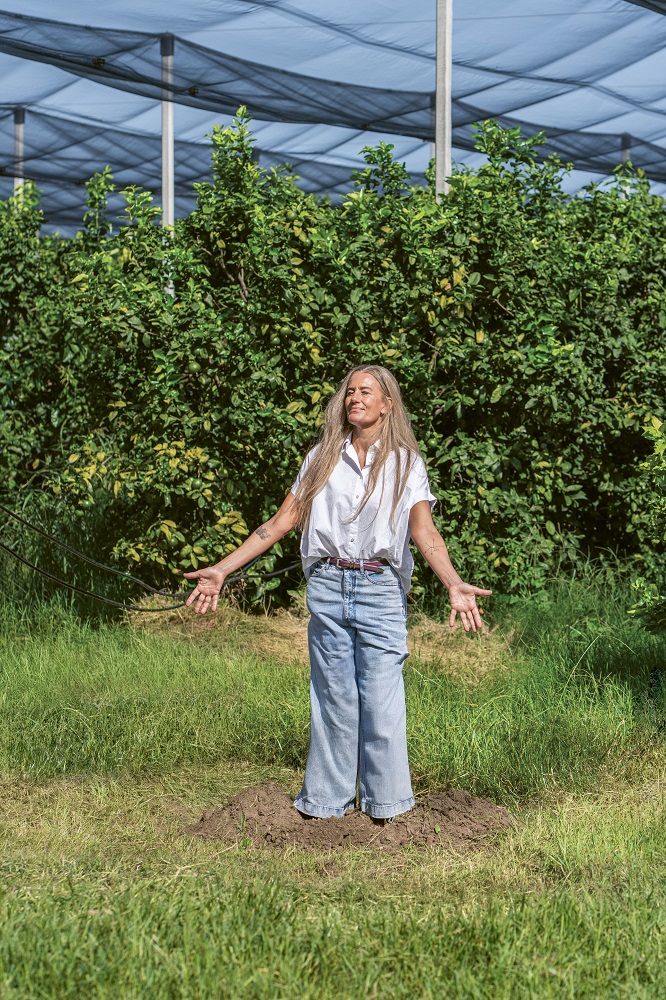 Irritec Stories 2026