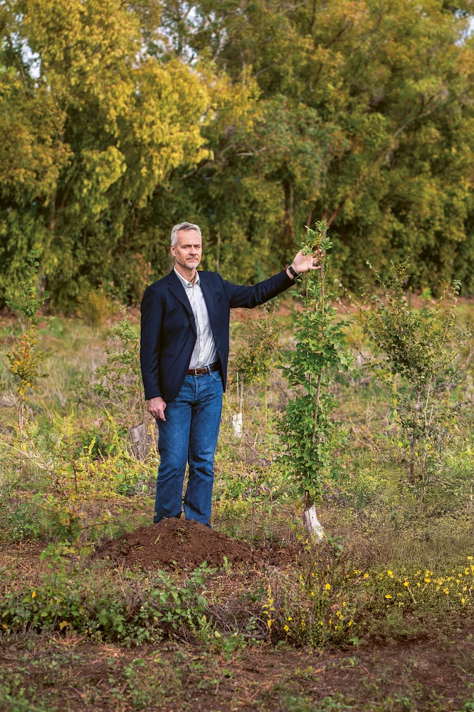 Irritec Stories 2026