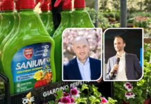 Ferdinando Quarantelli