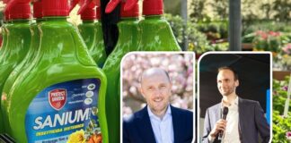 Ferdinando Quarantelli