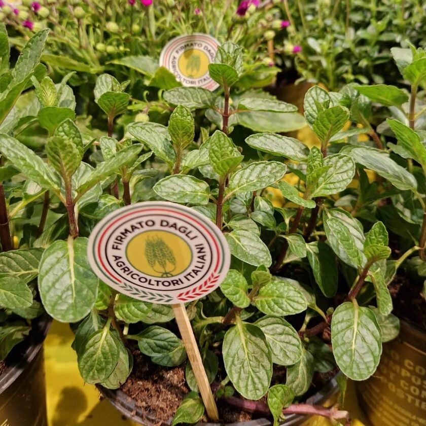 Firmato Dagli Agricoltori Italiani