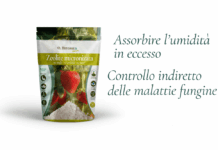 Zeolite Clinoptilolite