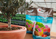 Concime ossicloruro di rame - Copia