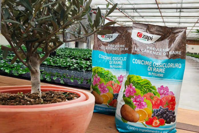 Concime ossicloruro di rame - Copia