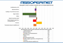 Giardinaggio fai da te
