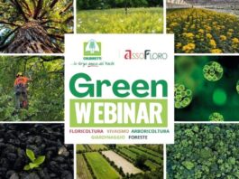 Green Webinar di Assofloro