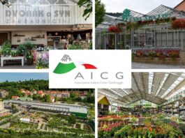 Viaggio-studio a Praga