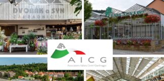 Viaggio-studio a Praga