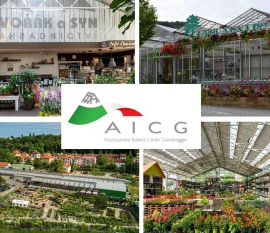 Viaggio-studio a Praga