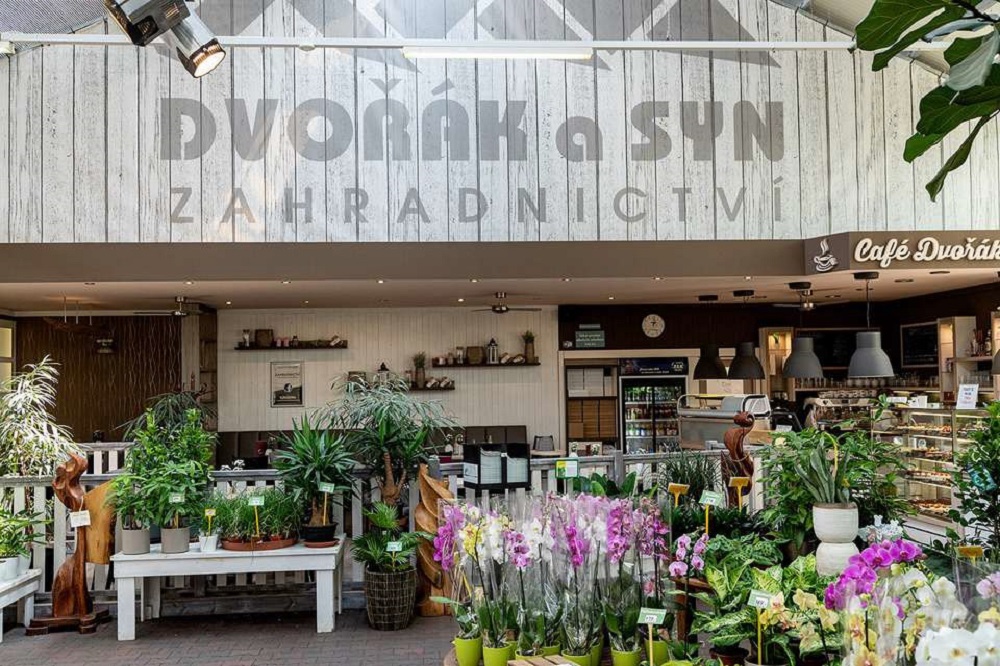 Viaggio-studio a Praga