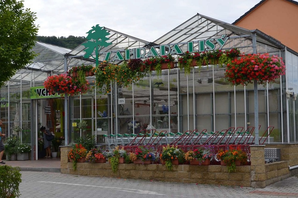 Viaggio-studio a Praga