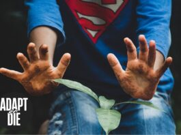 Adapt or Die
