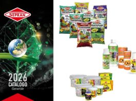 La rinascita di Sepran: intervista a Giorgio Finotello Giorgio Finotello