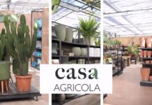 casa agricola
