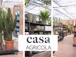 casa agricola