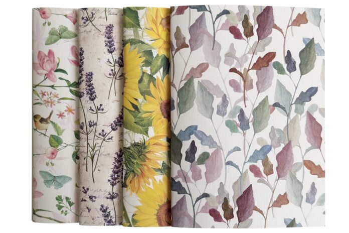 collezione tassotti 2026